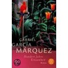 Hundert Jahre Einsamkeit door Gabriel GarcíA. Márquez