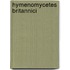 Hymenomycetes Britannici