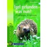 Igel gefunden   was nun? door Claudia Biermann