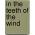 In The Teeth Of The Wind
