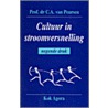 Cultuur in stroomversnelling