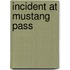 Incident At Mustang Pass