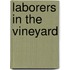 Laborers In The Vineyard