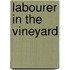 Labourer in the Vineyard