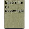 Labsim For A+ Essentials door TestOut Corporation