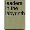 Leaders In The Labyrinth door Stephen James Nelson