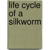 Life Cycle Of A Silkworm by Ron Fridell