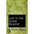 Life In The Great Beyond