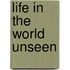 Life In The World Unseen