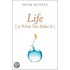 Life Is What You Make It