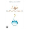 Life Is What You Make It door Peter Buffett