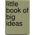 Little Book Of Big Ideas