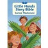 Little Hands Story Bible