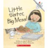 Little Sister, Big Mess! door Jane E. Gerver