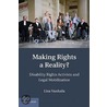 Making Rights A Reality? door lisa Vanhala