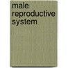 Male Reproductive System door Anatomical Chart Company