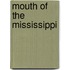 Mouth of the Mississippi