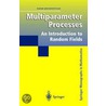 Multiparameter Processes door Davar Khoshnevisan
