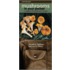 Mushrooms In Your Pocket