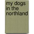 My Dogs In The Northland