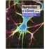 Neuroscience at a Glance