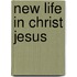 New Life in Christ Jesus