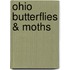 Ohio Butterflies & Moths