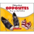 Opposites/Los Contrarios