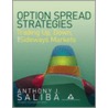 Option Spread Strategies door Karen E. Johnson