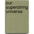 Our Superstring Universe
