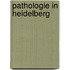 Pathologie in Heidelberg