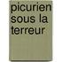 Picurien Sous La Terreur