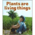 Plants Are Living Things