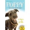 Poppy The Dogs Trust Dog door Dogs Trust (uk)