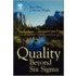 Quality Beyond Six Sigma