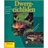 Dwergcichliden