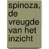 Spinoza, de vreugde van het inzicht