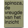 Spinoza, de vreugde van het inzicht door K. Schuyt