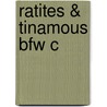 Ratites & Tinamous Bfw C by Stephen Davies