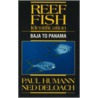 Reef Fish Identification door Roger Steene