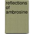 Reflections Of Ambrosine
