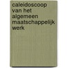 Caleidoscoop van het algemeen maatschappelijk werk door G. van der Laan