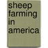 Sheep Farming In America