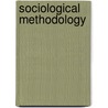 Sociological Methodology door Adrian Raftery