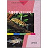 Meervallen