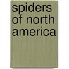 Spiders of North America by Ann Squire