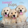 Sweet Pups 2011 Calendar door Onbekend