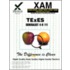 Texes Generalist 4-8 111