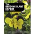 The Bedding Plant Expert
