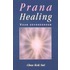 Prana healing voor gevorderden